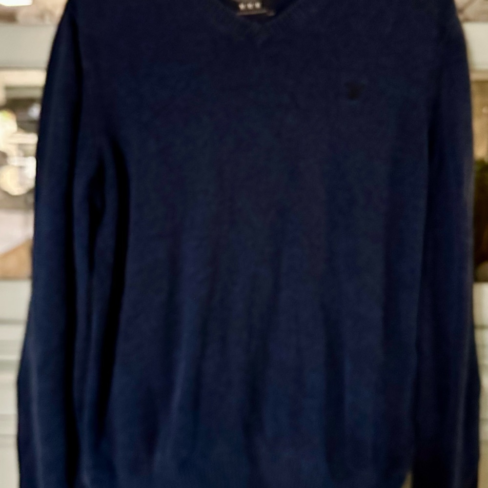 American Eagle Outfitters Deep Blue V-Neck Sweater